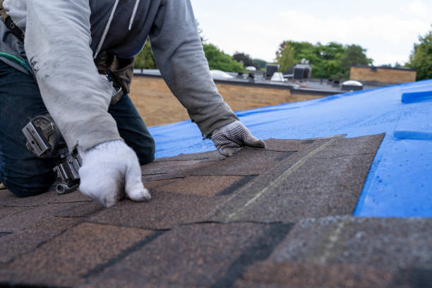 Best Local Roofing Companies  in Oskaloosa, KS