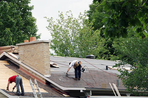 Best Roof Gutter Cleaning  in Oskaloosa, KS